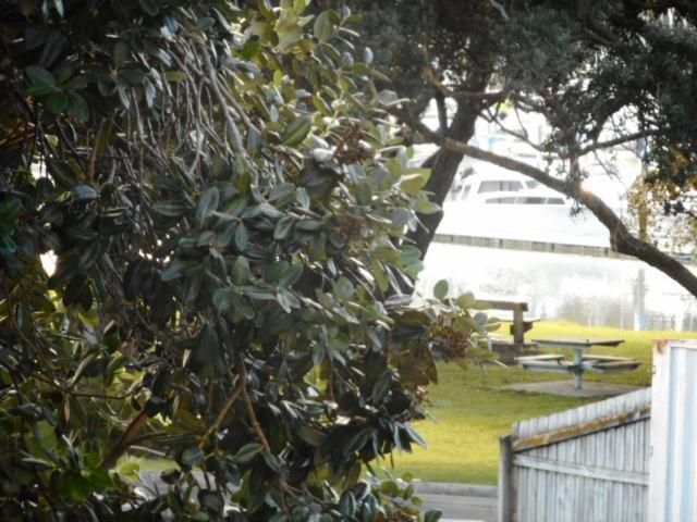 Apartment By The Marina Whitianga Exteriör bild